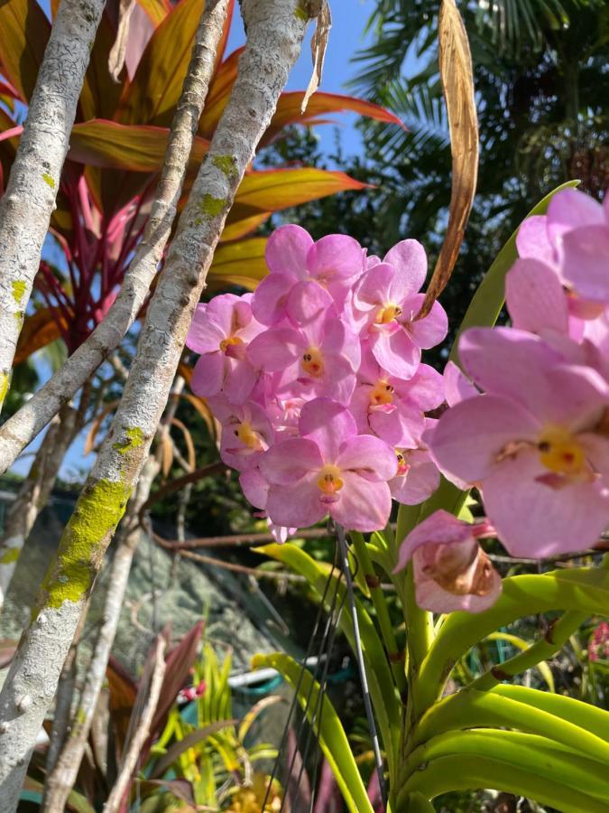 Orchid Sunset Guest House Baie Lazare  Exterior photo